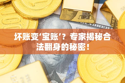 北京坏账变‘宝账’？专家揭秘合法翻身的秘密！