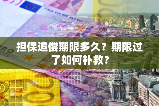 北京担保追偿期限多久？期限过了如何补救？