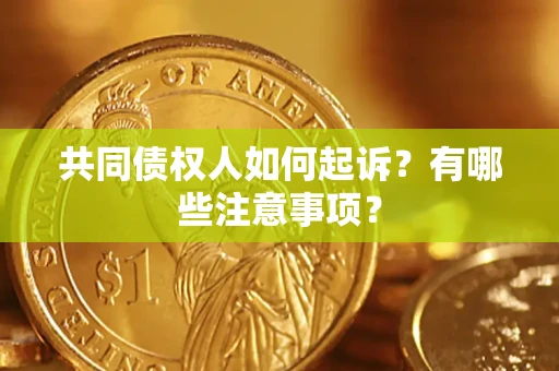 北京共同债权人如何起诉？有哪些注意事项？
